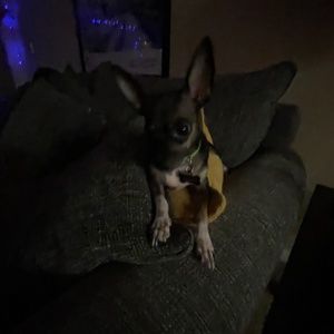 Meet your Posher, Jami